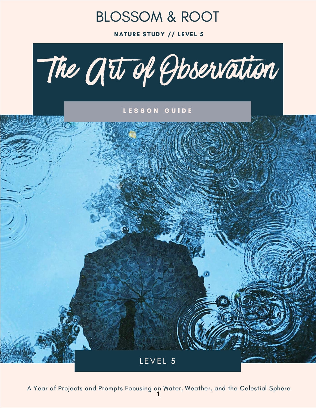Blossom and Root - Nature Study - Level 5 - Parent Guide - The Art of Observation - PDF MUST BE PURCHASED FROM BLOSSOM AND ROOT