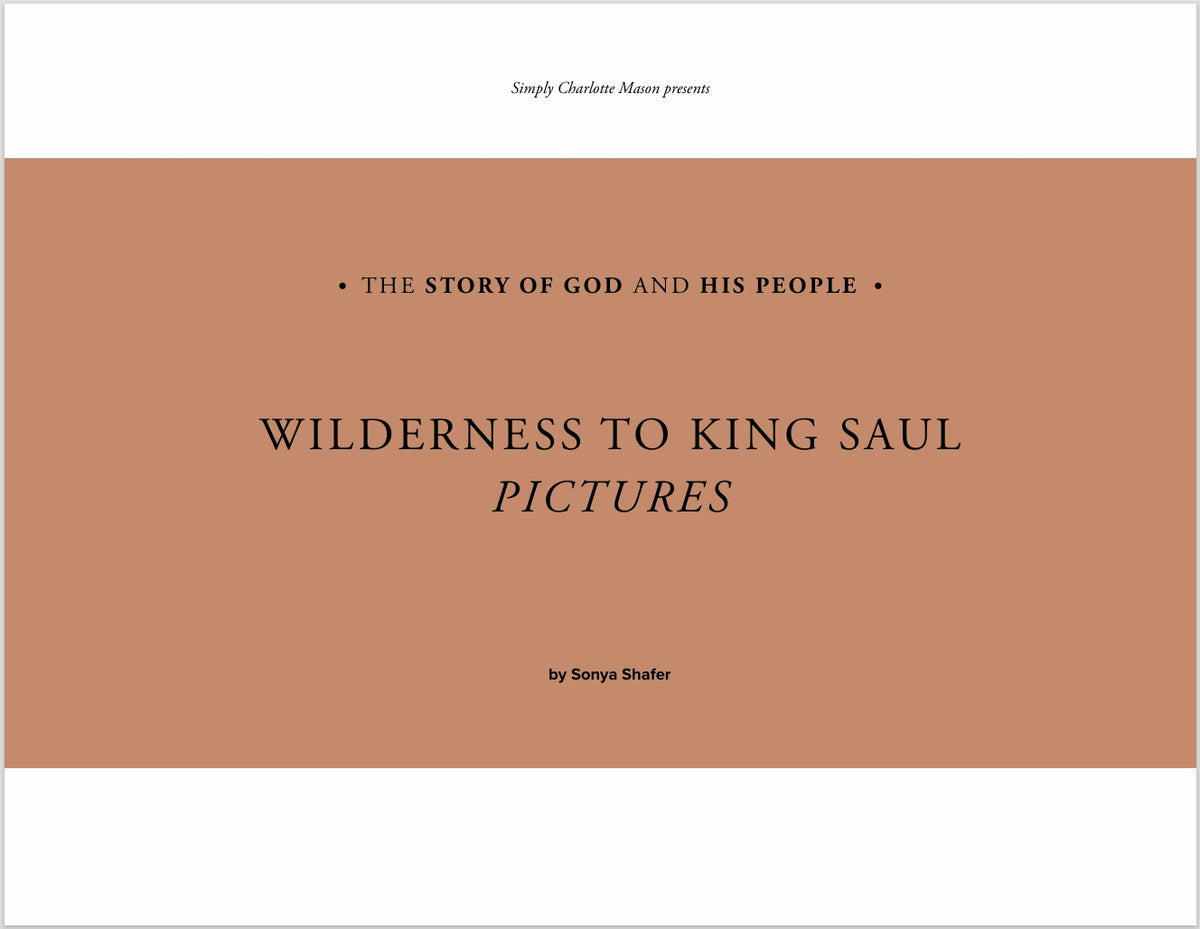 The Story of God and His People - Wilderness to King Saul - Pictures - PDF MUST BE PURCHASED FROM SIMPLY CHARLOTTE MASON
