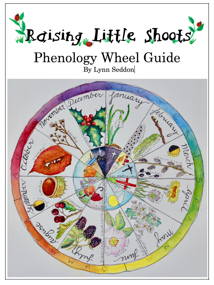 Phenology Wheel  -  PDF MUST BE PURCHASED FROM RAISING LITTLE SHOOTS