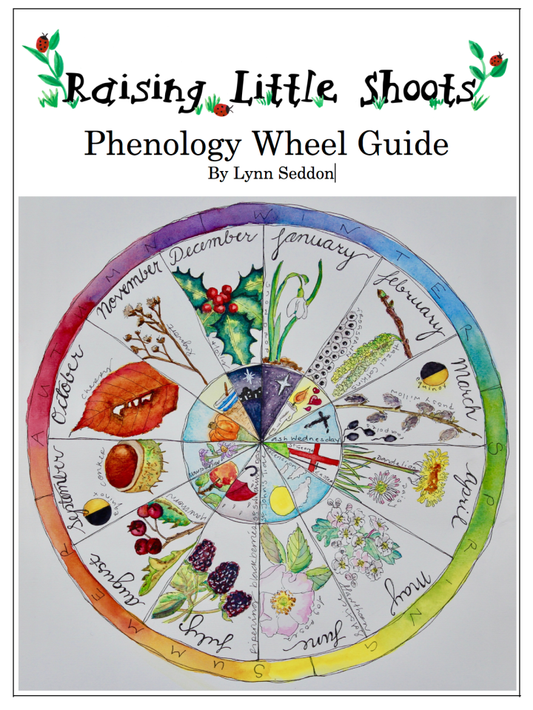 Phenology Wheel  -  PDF MUST BE PURCHASED FROM RAISING LITTLE SHOOTS