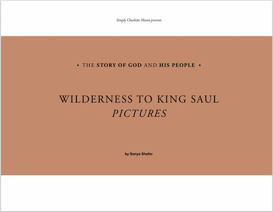 The Story of God and His People - Wilderness to King Saul - Pictures -  PDF MUST BE PURCHASED FROM SIMPLY CHARLOTTE MASON